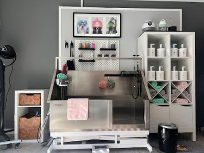 freche Pfötchen Hundesalon