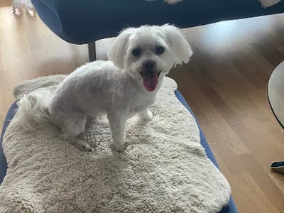Hundesalon Keller