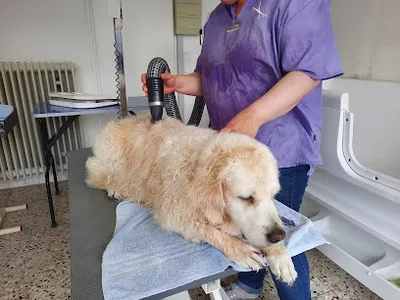 Hundesalon Retzlaff
