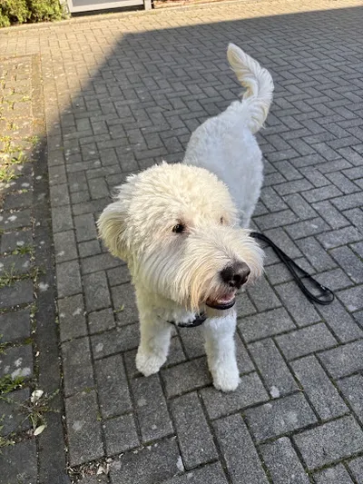 FELLFFREUNDE