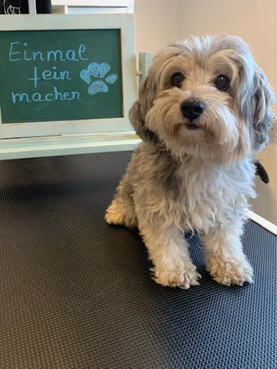 Piets-Dog-Wellness Hundesalon