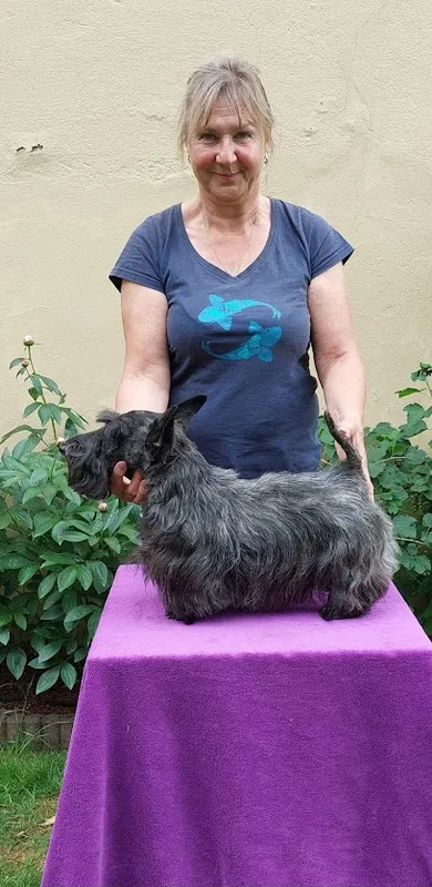 Hundesalon Jessica