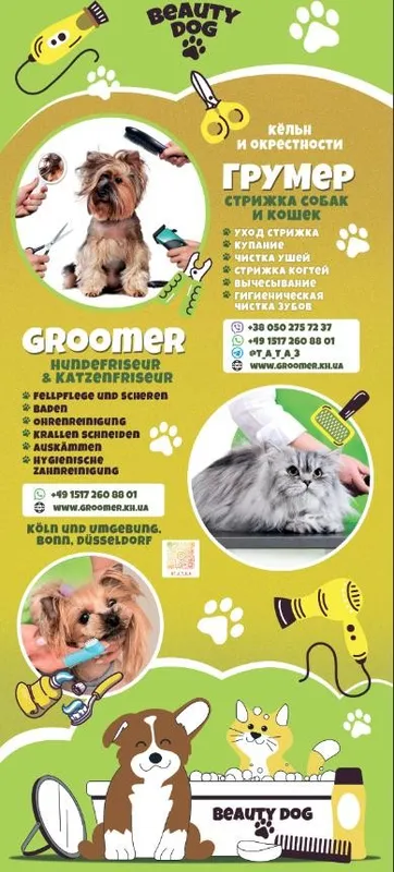 Hundefriseur “Beauty Dog” (стрижка собак и кошек)