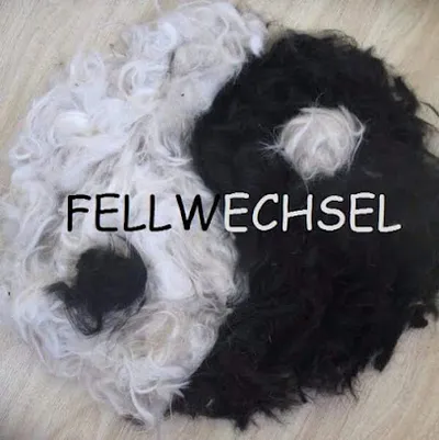 FELLWECHSEL
