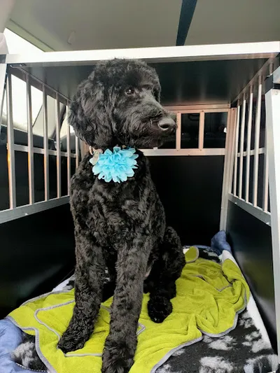 SCHNIEKE SCHNAUZE Hundesalon & -Spa