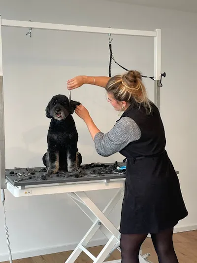 Hundesalon Topmöller