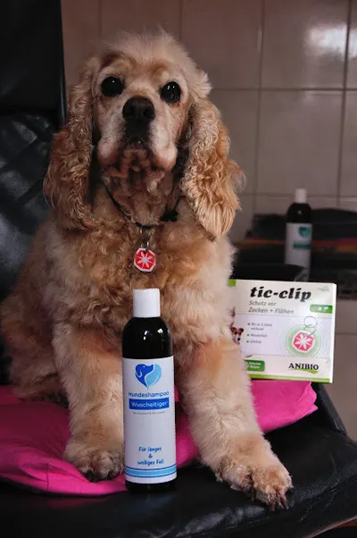 Hundefriseursalon "Pudel"wohl