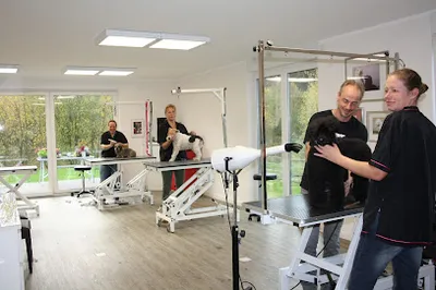 Hundesalon - Trittau, hundeschnittschule - Aus-und Fortbildung für Hundefriseure