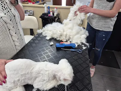 Hunde- und Katzensalon Daniela Bergmann