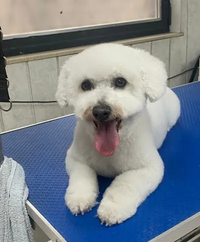 McPet Beautysalon für Hunde und Katzen