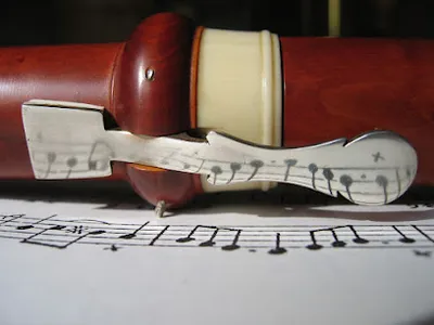 Stephanie Bosch, Dipl. Instrumentalpädagogin