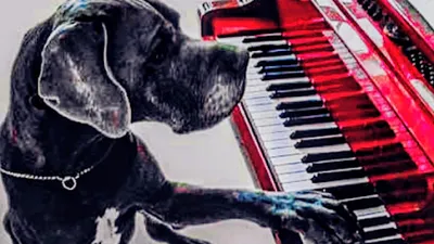 Musikschule Martens