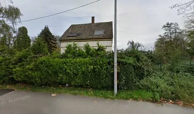 Musikschule TON ART