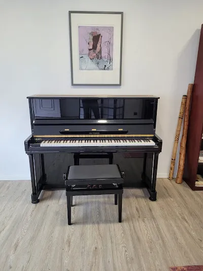 Ars Musica Musikunterricht Zens