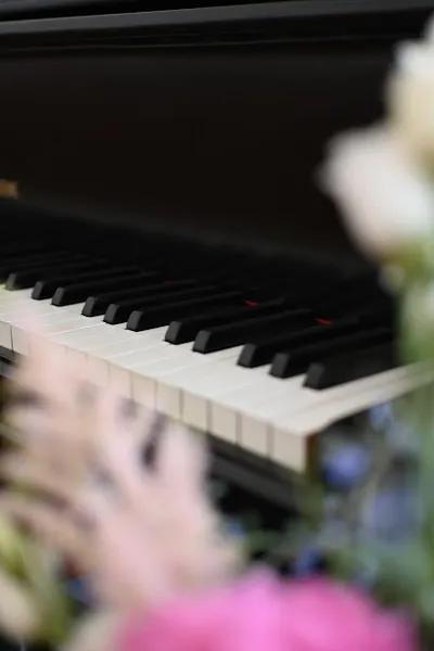 Musikschule Tonvėja