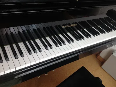 Studio piano e canto / L.Pfingsten