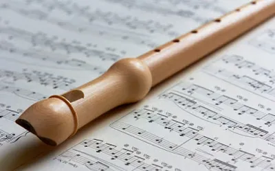 private Musikschule Pollow-Strauch