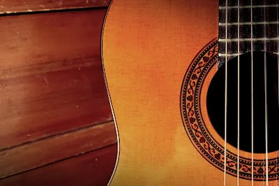 gitarrenunterricht v. Diplommusiklehrer