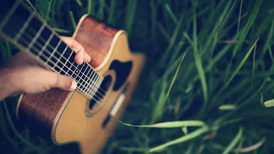 Gitarrenunterricht München-Nymphenburg | Dachilla Music