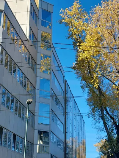 Drei Könige Intl. Akademie