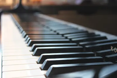 musica studiosus