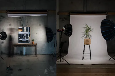 Sun City Gallery and Photography Studio