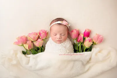 Christie-Lee Johnston Photography