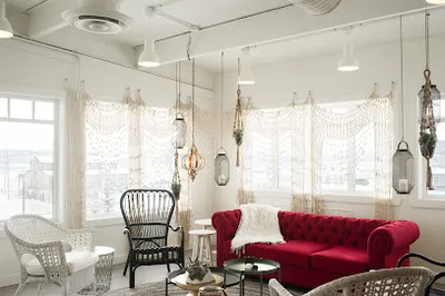 The Study Movement & Wellness Studio