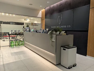 Naosu Wellness Co.