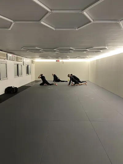 Marvelous BJJ