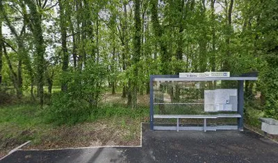 Terrain de tir a l'arc