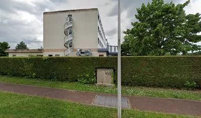 Ikébana