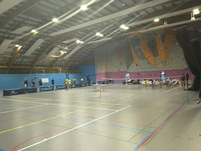 Service Universitaire des Activités Physiques et Sportives - Nantes Université