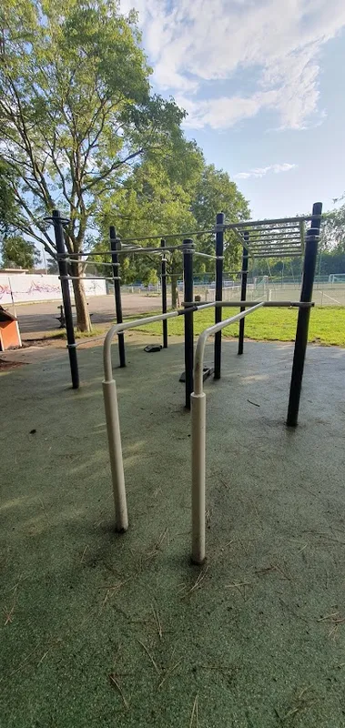 Parc de Street workout & Calisthenics
