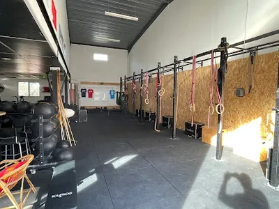 Lim Training