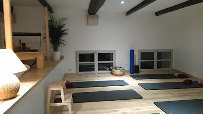 PILATES , GYM A CASTELNAU-LE-LEZ ET MONTPELLIER
