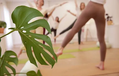 Flow Studio - Yoga & Bien-Être