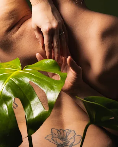 Lineare Studio Pilates