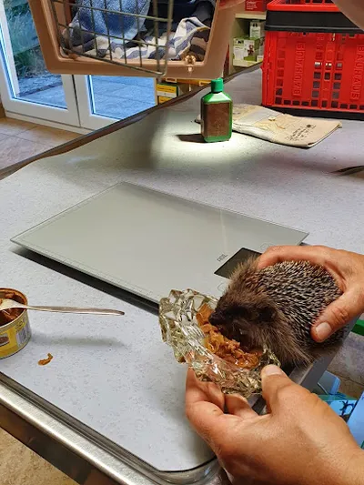 Beatrice Blaurock Tierärztin