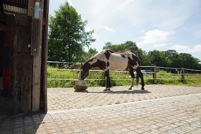 Huftherapie Zentrum Nord