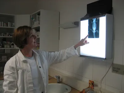 Kleintierpraxis Dr. med.vet. Ulrike Falbesaner