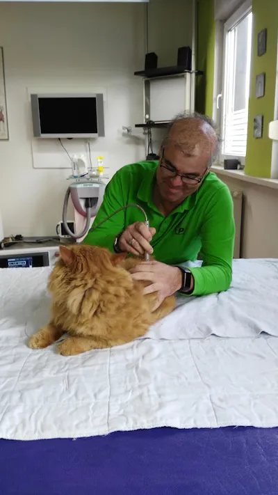 Tim Gramlich reha-pet.de Hundephysiotherapie