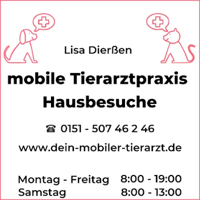 Dein mobiler Tierarzt