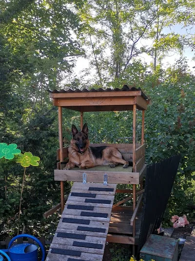 Dr.med.vet. Peter Schwemmer veterinarian