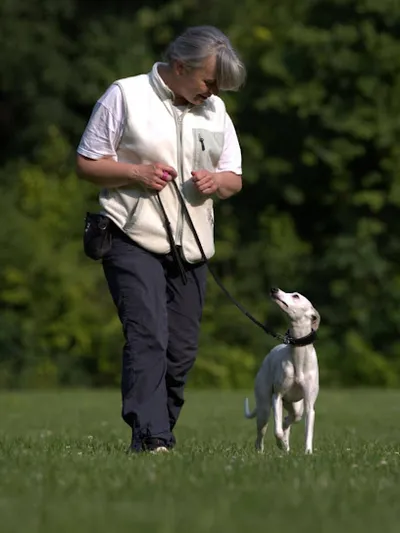 Tierarztpraxis für chinesische Medizin und Physiotherapie Andrea Földy