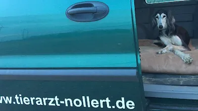 MOBILE Tierarztpraxis