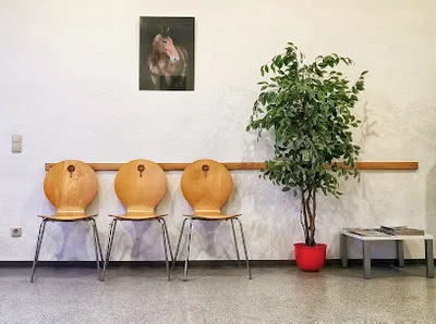 Dr.med.vet. Andreas M. Helling veterinarian