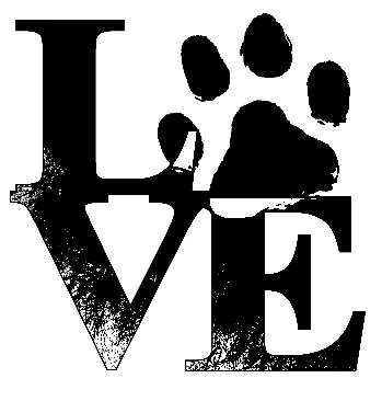 Dr.med.vet. Martin Borgers veterinarian