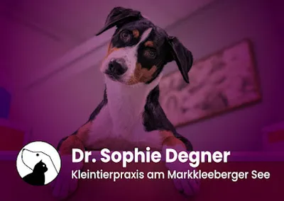 Dr. Sophie Degner - Kleintierpraxis am Markkleeberger See