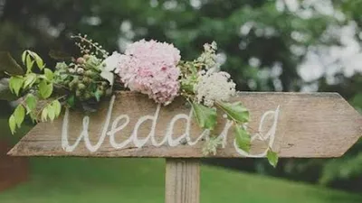 Wedding Organisation